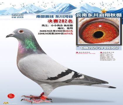 东川启翔决赛282名