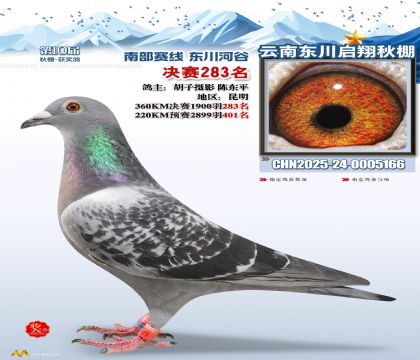 东川启翔决赛283名