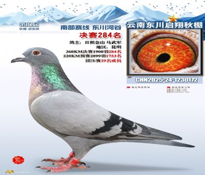 东川启翔决赛284名