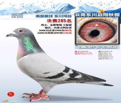 东川启翔决赛285名