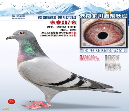 东川启翔决赛287名