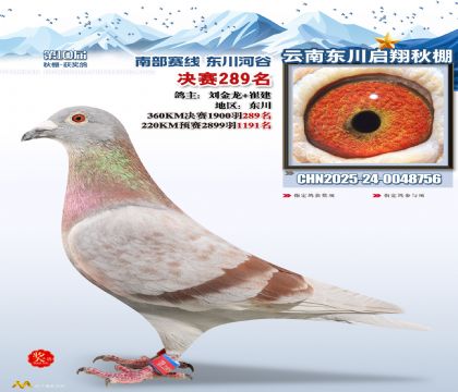 东川启翔决赛289名