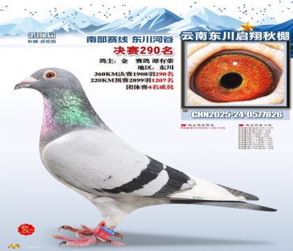 东川启翔决赛290名