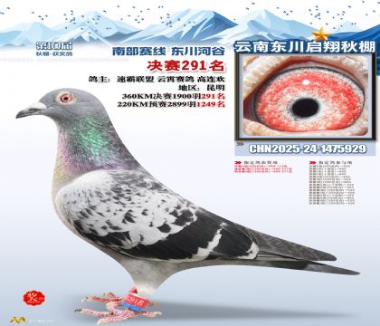 东川启翔决赛291名