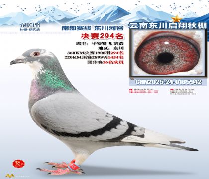 东川启翔决赛294名