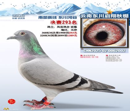 东川启翔决赛293名