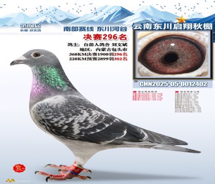 东川启翔决赛296名