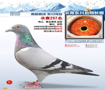 东川启翔决赛297名