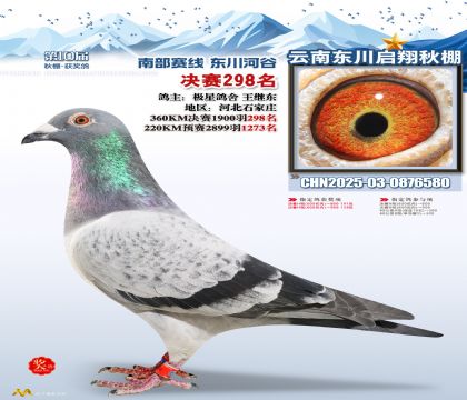 东川启翔决赛298名