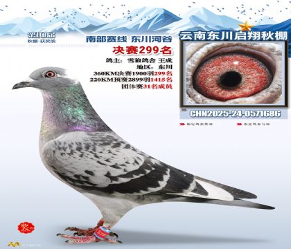 东川启翔决赛299名