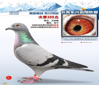 东川启翔决赛300名