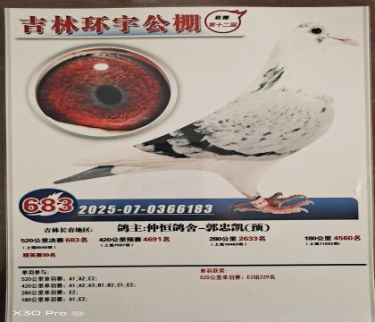 Ͽ˷ǲ˻ض006ֱŮرƼ