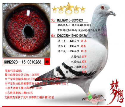 ķXǹ̖XpP(gun)܊P(gun)܊