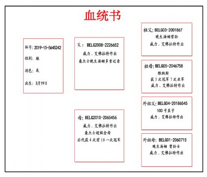 2019-15-5645242血_副本