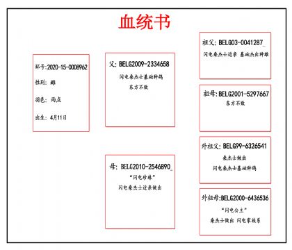 2020-15-0008962血_副本