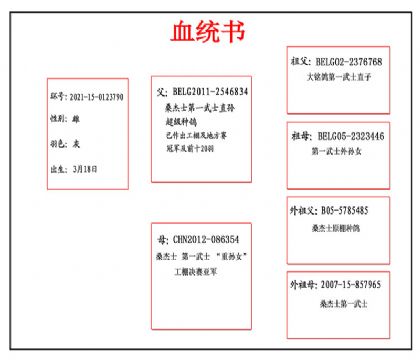 2021-15-0123790_血副本
