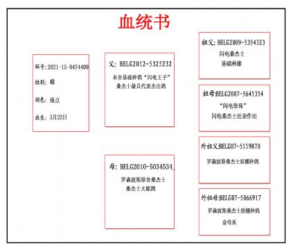 2021-15-0474409血_副本