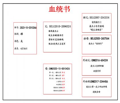 2023-15-0310266血_副本