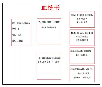 2024-15-0235338血_副本