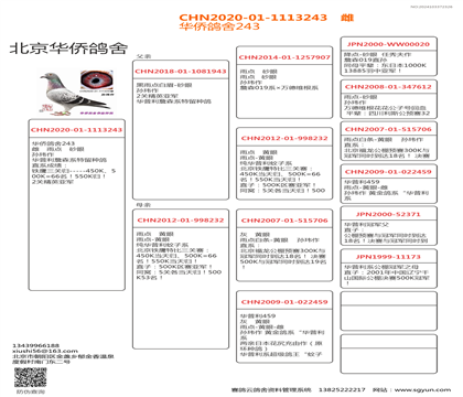 孙玮推荐老少配243雌