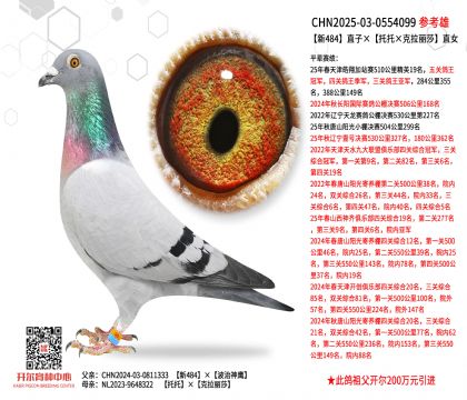 ��484ֱ�ӡ������С�������ɯ��ֱŮ