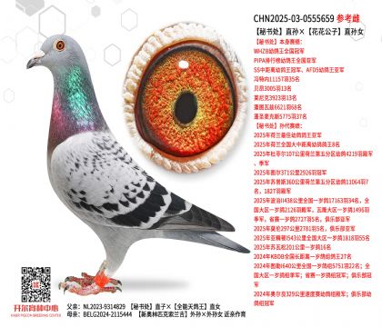 �ؕ�ֱ̎�O����������ֱ�OŮ