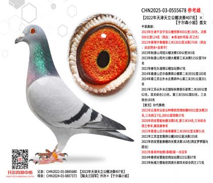 2022�������������Qِ407�����ڠ�ɭС��ֱŮ