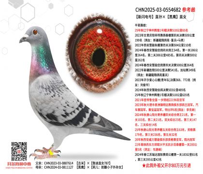 ���W�ֱ̖�O������ֱŮ