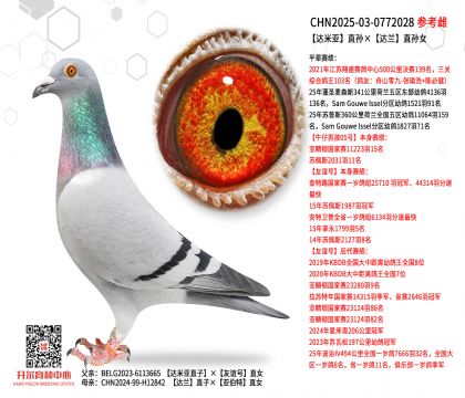 �_�ׁ�ֱ�O���_�mֱ�OŮ