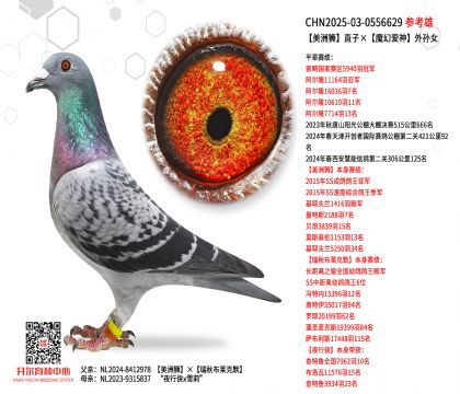 ���ު{ֱ�ӡ�ħ�Ð�����OŮ