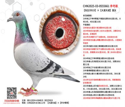 �ұȠ�819��������ֱŮ