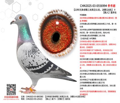 23�����׿�����P(gu��n)����61�����Qِ328��������ֱ�OŮ