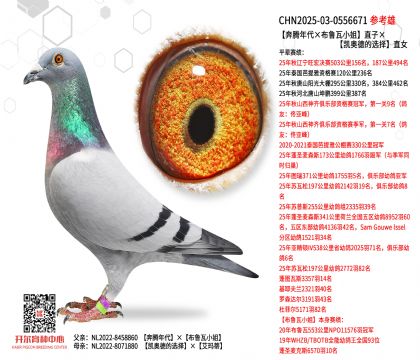 �����v�����������С�㡱ֱ�ӡ��P�W�µ��x��ֱŮ