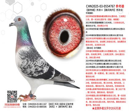 �ӊZ����O�����W�̖��OŮ