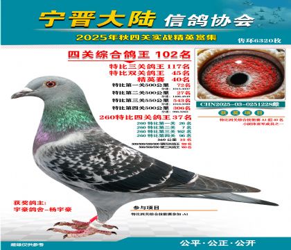 大陸特比四關(guān)鴿王102名