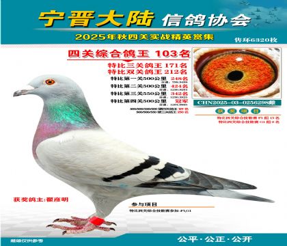 大陸特比四關(guān)鴿王103名
