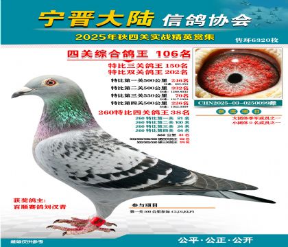 大陸特比四關(guān)鴿王106名
