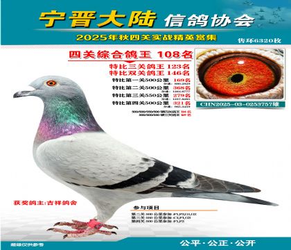 大陸特比四關(guān)鴿王108名
