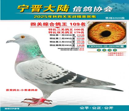 大陸特比四關(guān)鴿王109名