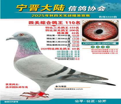 大陸特比四關(guān)鴿王110名