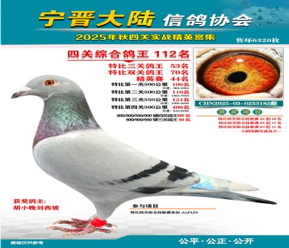 大陸特比四關(guān)鴿王112名