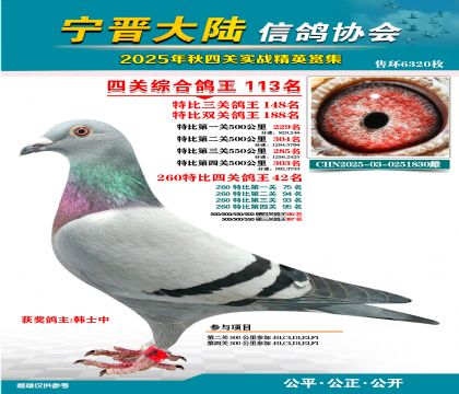 大陸特比四關(guān)鴿王113名