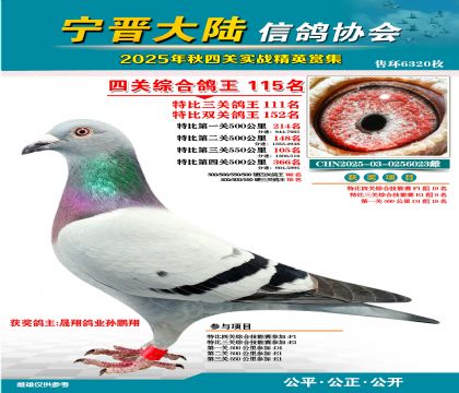 大陸特比四關(guān)鴿王115名