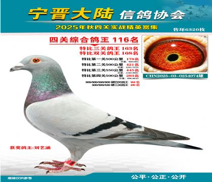 大陸特比四關(guān)鴿王116名
