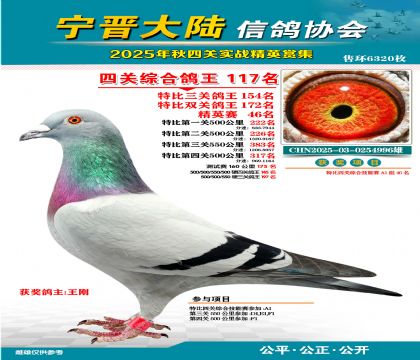 大陸特比四關(guān)鴿王117名