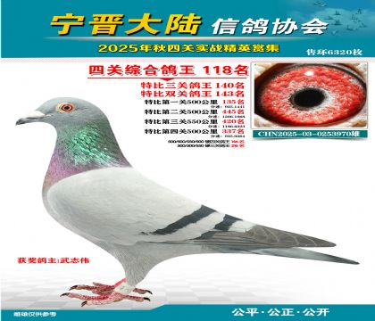 大陸特比四關(guān)鴿王118名