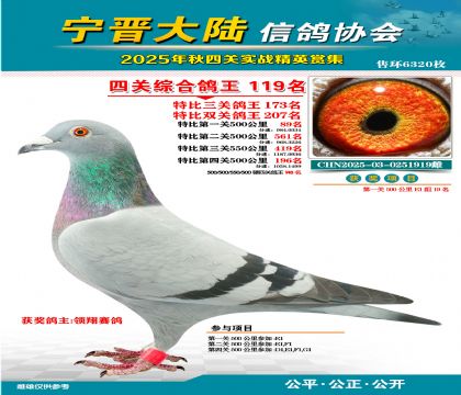 大陸特比四關(guān)鴿王119名