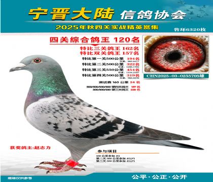 大陸特比四關(guān)鴿王120名