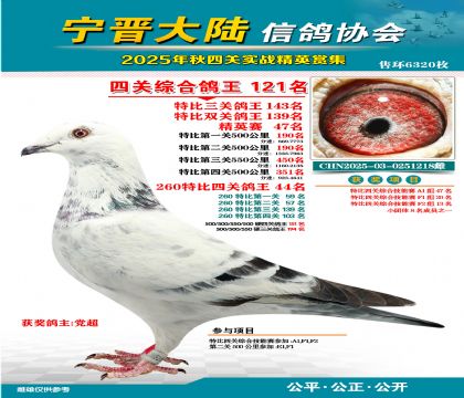 大陸特比四關(guān)鴿王121名