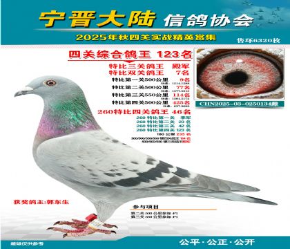 大陸特比四關(guān)鴿王123名
